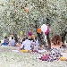 Terre Giunchi nelle colline cesenati lancia Imbrunire, il picnic a 'km casa' - -