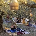 Terre Giunchi nelle colline cesenati lancia Imbrunire, il picnic a 'km casa' - -