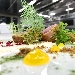 Tonno a 42 su creme fraiche al mandarino e polvere di lamponi presso Terme Manzi Hotel - -