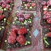 Tortino farcito con gelato di fragoline di Marsala pistacchio di bronte e bisquit al cioccolato - -