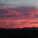 Tramonto su vigneto 2 - 