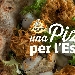 Una Pizza per l'Estate - -