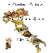 Le Ricette d'Autore - -