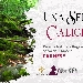 Una Selva di Calici e d'Oli - -