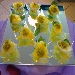 Uova sode alla mimosa - -