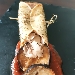 Valpolicella Doc Classico Superiore Montepal� Az. Agricola Corte Aleardi - -