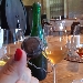 Varaschin vini e spumanti - -