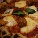 Vasinicola 05 - -