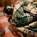 Vasinicola 06 - -
