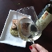 Vermentino Riviera Ligure di Ponente DOC Az. Agr. Poggi all'elmo - -