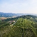 Vigna - -