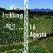 WINE TREKKING IL 16 AGOSTO A LAPIO, DEGUSTAZIONI, PASSEGGIATE A PIEDI E A CAVALLO NEL BORGO DEL FIANO
 - Inizio alle ore 8.30 pausa pranzo presso gli agriturismi convenzionati e visita nei luoghi d'interesse del borgo