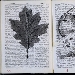 Waiting for the Sibyl
Sibyl di William Kentridge in dialogo con le Sibille della Cona dei Lani - -