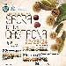XXVII Sagra della Castagna - -