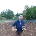 Zafferano Montesano - -