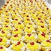 Zeppole di San Giuseppe - -
