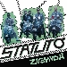 Zighid� 25 degli Statuto - -