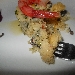 Zoccolo di Cous Cous alla mediterranea con crudo di Gambero di Mazara del Vallo - -