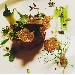 -battuta di manzo, zucchine al limone e tartufo - -