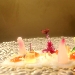 Carpaccio di baccal� con petali di cipolla, smetana, uova di salmone fresche, salsa di soia, gelatina di alloro e germogli di crescione - -