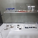 apertura al pubblico del cantiere di restauro a Palazzo Reale delle statue delle Terme di Agnano - -