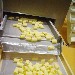 Produzione di Paccheri - Paccheri prodotti dal Pastificio Afeltra di Gragnano (Napoli)