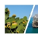 Banner La Puglia - -