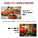 Pizza e Pizzerie 2016 - -