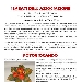 05/11 - I Sabati dell'Associazione - Fotogiocando - -