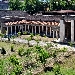 -Oplontis- Villa di Poppea  - -