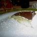 Il Cuochino scende in campo per i Bambini di Beslan - Serata del 18/05 c/o Lo Stuzzichino di Sant'Agata sui due Golfi (NA) - Mousse al Pistacchio di Bronte - -