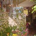 Il Cuochino scende in campo per i Bambini di Beslan - Serata del 07/06 c/o 'a Taverna e' mast'Aniello di Angri (SA) - -
