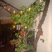 Il Cuochino scende in campo per i Bambini di Beslan - Serata del 07/06 c/o 'a Taverna e' mast'Aniello di Angri (SA) - -