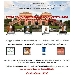 20/12 - Villa Signorini - Ercolano (NA) - Festa dell'Associazione Spaghettitaliani e dei Prodotti di qualit� - -