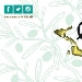 Extra Lucca - -