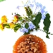 -Gel� di gamberi e noci - -