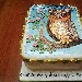 -Torta gufo -Torta gufo