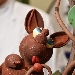 cioccolato - -