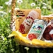citterio - picnic