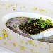 Baccal� con spuma di patate e pat� di olive - -