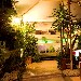 -il nostro giardino - -