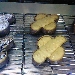 Colomba pasquale - -