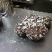 Colomba pasquale - -