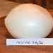 Mozzarella o fior di latte? - -
