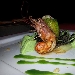 Roll� di branzino con gamberi rossi e pistacchi in foglia di lattughina su vellutata di patate al limone e capperetti di Pantelleria con bavarese di melanzane - -