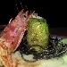 Roll� di branzino con gamberi rossi e pistacchi in foglia di lattughina su vellutata di patate al limone e capperetti di Pantelleria con bavarese di melanzane - -