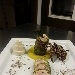 Roll� di branzino con gamberi rossi e pistacchi in foglia di lattughina su vellutata di patate al limone e capperetti di Pantelleria con bavarese di melanzane - -