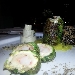 Roll� di branzino con gamberi rossi e pistacchi in foglia di lattughina su vellutata di patate al limone e capperetti di Pantelleria con bavarese di melanzane - -