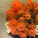 Poesia caprese - -
