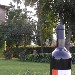 Pergliamici - Toscana Rosso IGT - -